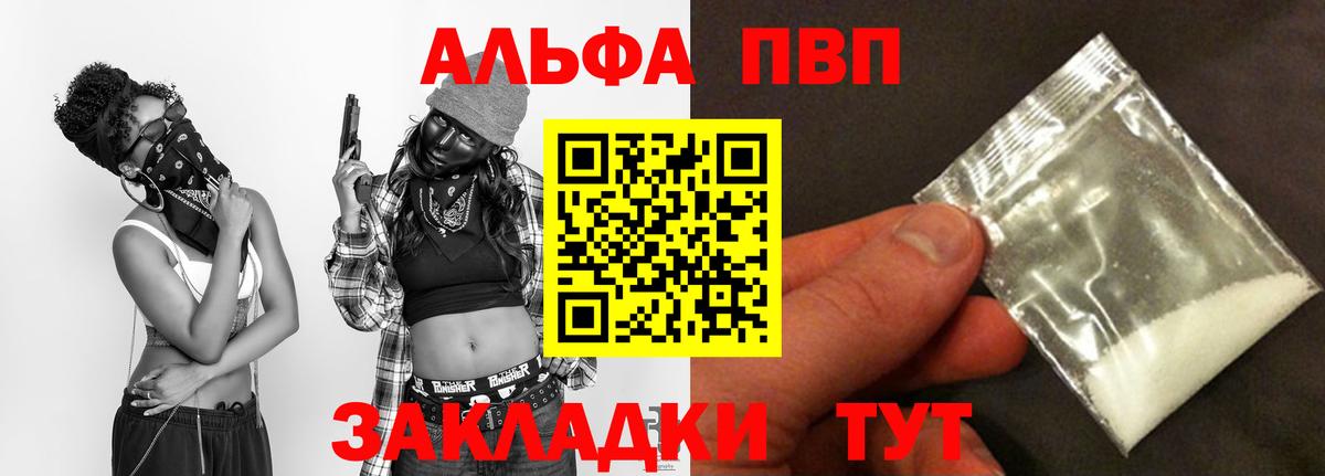 A PVP СК Волхов