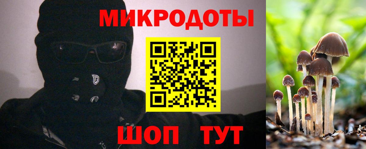 Псилоцибиновые грибы ЛСД Волхов