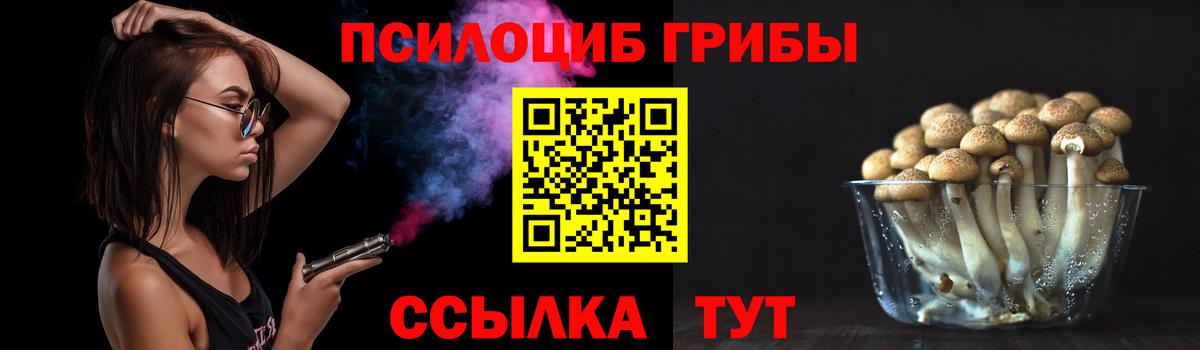 Волхов  Галлюциногенные грибы Psilocybine cubensis  Вход с VPN 